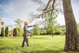 Best Tree Planting Services  in Chewelah, WA